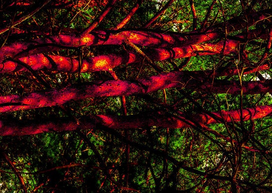 Sławomir Lorenc - fotografia artystyczna 19